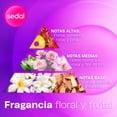 thumbnail image 4 of Shampoo Sedal Mega Crecimiento 580 ml, 4 of 5