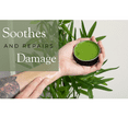 thumbnail image 4 of SSF Organics Comfrey Skin,  Muscle , and Joint Recovery Salve | Multi Purpose  Natural Relief and Healing  | Soothe. Heal. Restore. 2 oz., 4 of 9