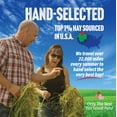 thumbnail image 4 of Small Pet Select 1st Cut Timothy Hay Pet Food for Rabbits, Guinea Pigs, and Other Small Animals, Easy to Store Box, 10 LB, 4 of 4