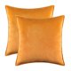 thumbnail image 1 of Cterwk - Juego de 2 fundas de cojín de terciopelo, suaves, lisas, decorativas, cuadradas, para sofá, dormitorio, sala de estar, 50,8 x 50,8 cm, 1 of 6