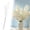 B, variant on Z52LingLing Decoration Artificial Phalaenopsis Orchid Branches with Reed and Cattails Faux Flower Spray Stems for Home Hotel Commercial Table Vase Decor (Green - Style A)