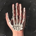 thumbnail image 3 of 2Pcs Halloween Squelette Humain Main Os Partie Hanté Maison Décoration Accessoires une Taille, 3 of 12