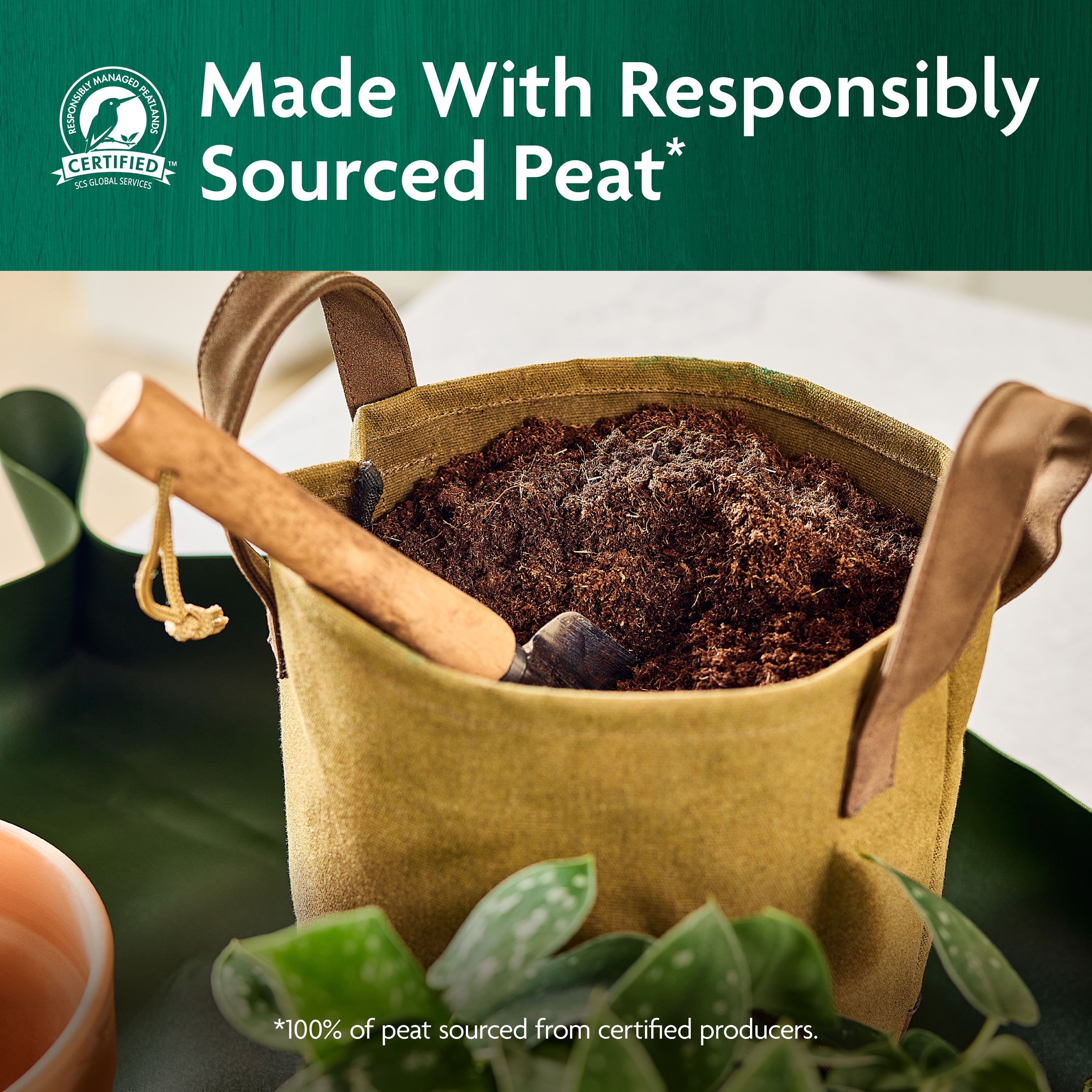 Miracle-Gro Organic Indoor Potting Mix, 8 qt, for Houseplants, Herbs, Seed  Starting - Walmart.com