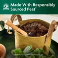 thumbnail image 6 of Miracle-Gro Organic Indoor Potting Mix, For Indoor Container Plants, 8 qt., 6 of 13