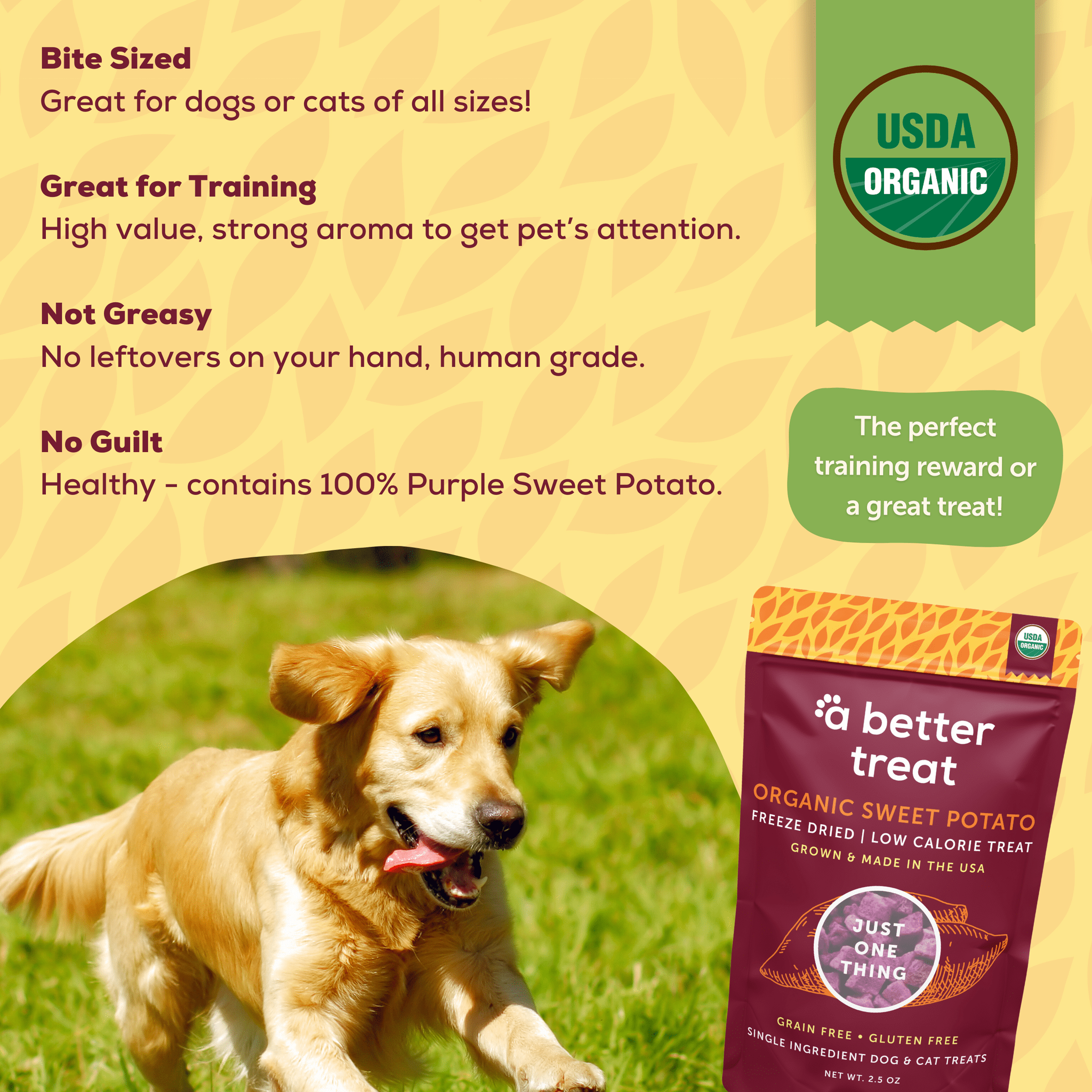 (Pack Of 5) A Better Treat Dog Treat 1 Oz