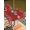 Bright Red Beige, variant on Outdoor Tablecloth with Umbrella Hole and Zipper, Christmas Snowflakes Rectangle Table Cloth 60x84 Inch Waterproof Tablecloth, Winter Xmas Pine Leaf Grey on Linen Picnic Table Cover for Patio Camping