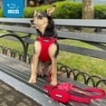 thumbnail image 7 of Voyager Step-in Fully Adjustable Mesh Dog Harness by Best Pet Supplies - Red, Medium, 7 of 7