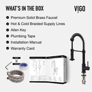 VIGO Industries VG02001MB 1 Handle Pull-Down Spray Kitchen Faucet Matte Black
