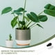 thumbnail image 2 of GOOHOCHY 2 platillos para plantas, absorbedores de agua, succionadores de agua, tubos de succión de plástico., 2 of 8