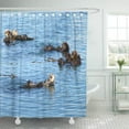 thumbnail image 1 of Cortina de ducha ABPHQTO Nutrias marinas de California 160x180 cm, 1 of 1