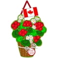 thumbnail image 2 of Evergreen Door Decor Canadian Patriotic Basket of Flowers Burlap Door Decor, 18.5'' x 15.75'' inches, 2 of 5