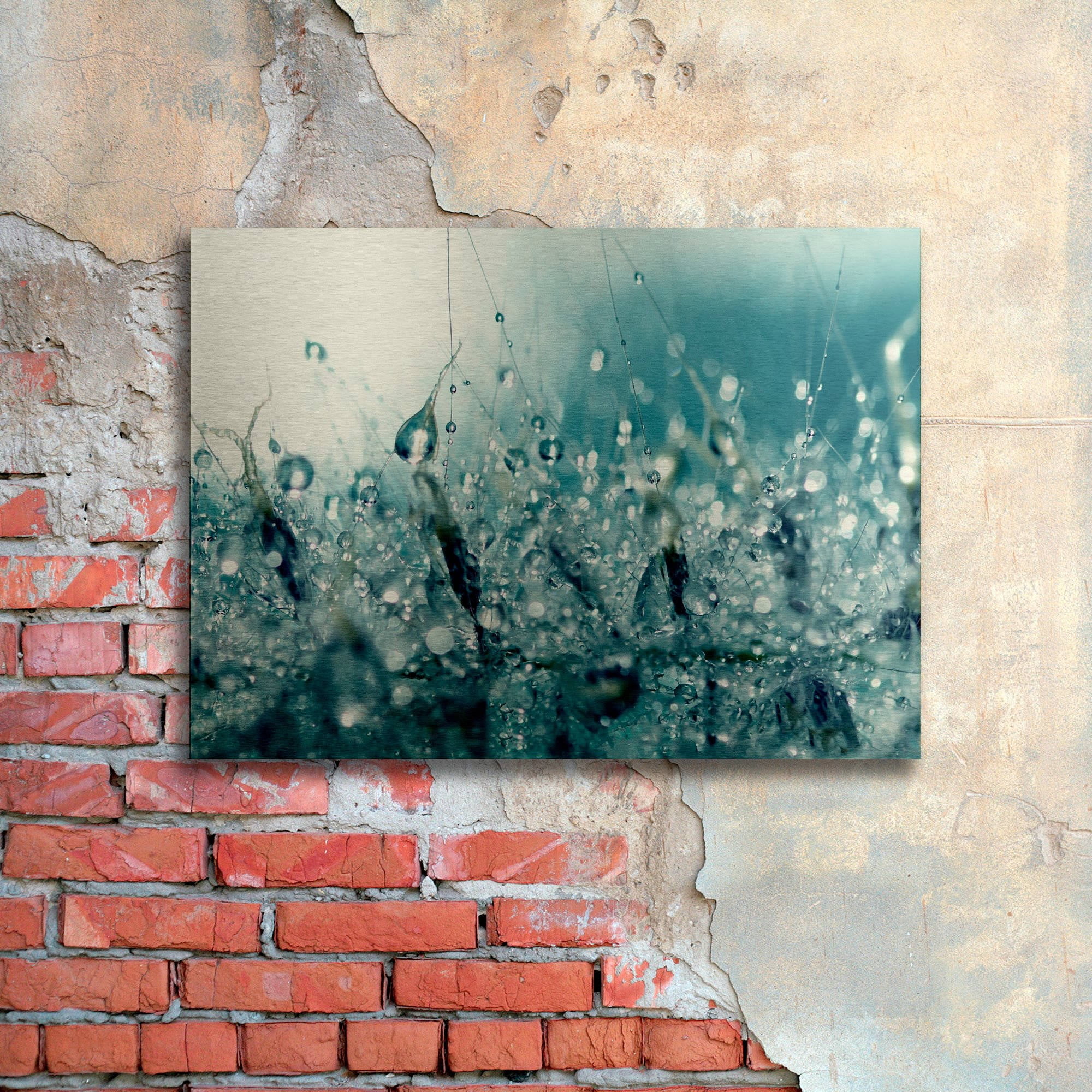 Beata Czyzowska Young 'Under the Sea' Floating Brushed Aluminum Art