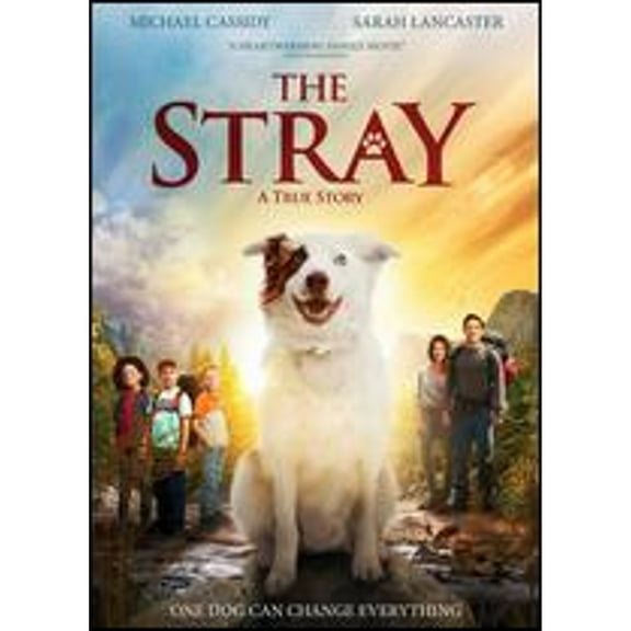 Pre-Owned The Stray (DVD 0191329045985) directed by Mitch Davis