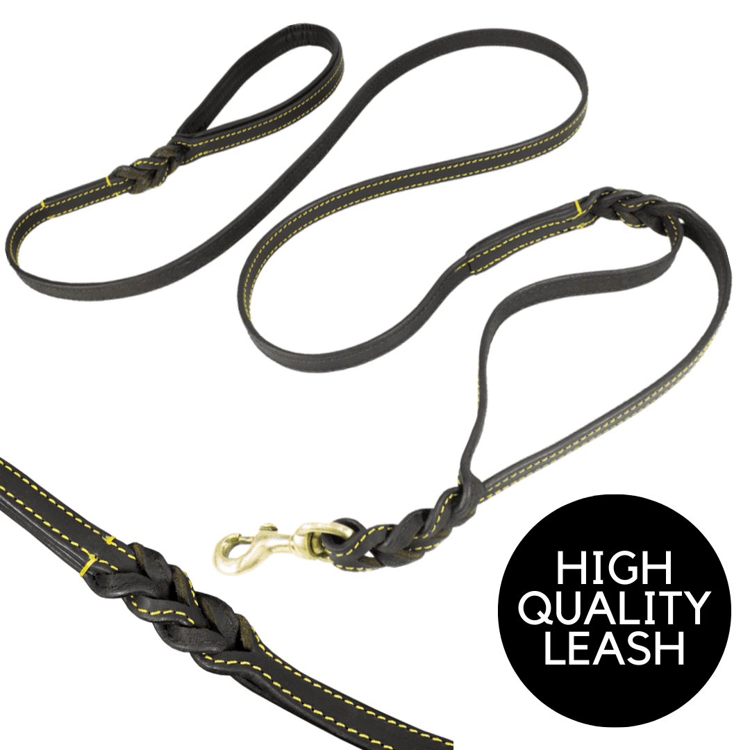 6 FT. Genuine Leather Dog Leash, 2 Handles, Extra Long Leash, Easy Control Black Leash