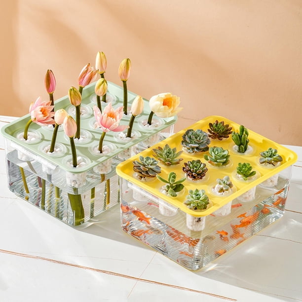 Kit de Cultivo Hidropónico con 12 Orificios, Kit de Cultivo de Alto Rendimiento para Microvegetales, Herramienta Hidropónica Práctica para El Cultivo Tapa amarilla