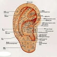 thumbnail image 4 of Auriculotherapy Patch Acupuncture Ear 300pcs Auricular Seed Other, 4 of 8