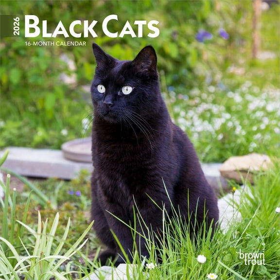 Black Cats | 2026 7x14" (Hanging) Monthly Mini Wall Calendar | BrownTrout