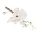thumbnail image 4 of Boutonniere de boda 5 piezas de flor de boda artificial permanente para fiesta de baile ANGGREK  Otros, 4 of 8