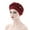 Wine, variant on LEKODE Winter Hat Skull Caps for Women Women Beanie Silk Turban for Men Turbin Womens Hair Towel Head Wrap for Men Black One Size