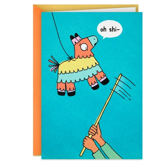 Hallmark Shoebox Funny Birthday Greeting Card (Pinata)