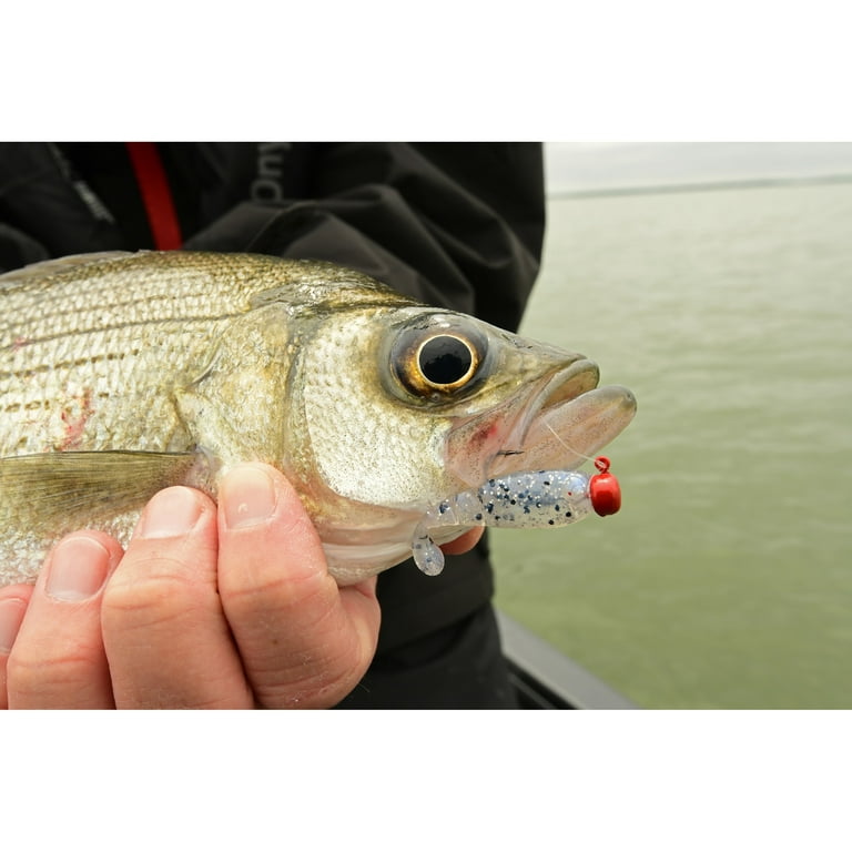 Z-Man Micro Finesse ShroomZ 1/30oz Red 5pk - Walmart.com