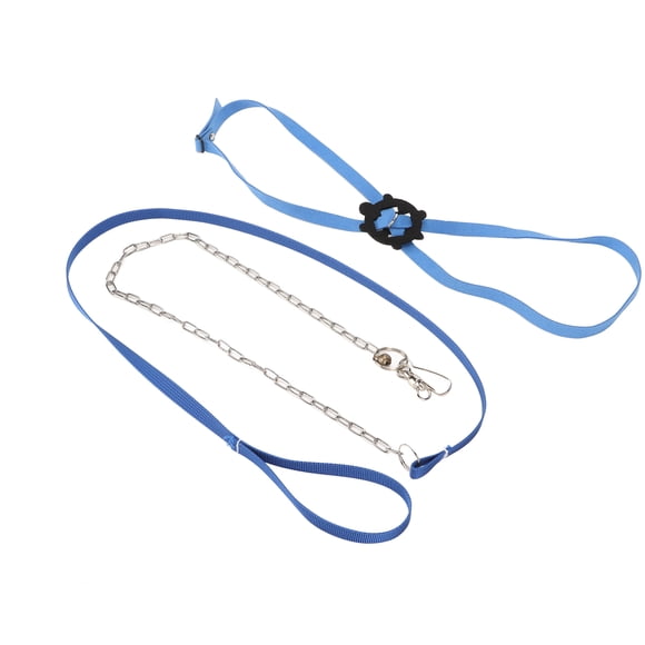 Arnés de Tortuga Correo de Correa Ajustable Peet Basting Reptil Reptil para Aire Libre