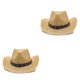 thumbnail image 1 of Qarigey Sombrero de paja de vaquero para mujer, gorra de protección solar de ala ancha para la playa, Sombrero hueco para exteriores, Type1 NO1, 1 of 6