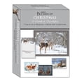 thumbnail image 2 of Card-Boxed-Shared Blessings-Christmas-Assorted/Deer In Winter (Box Of 12), 2 of 10