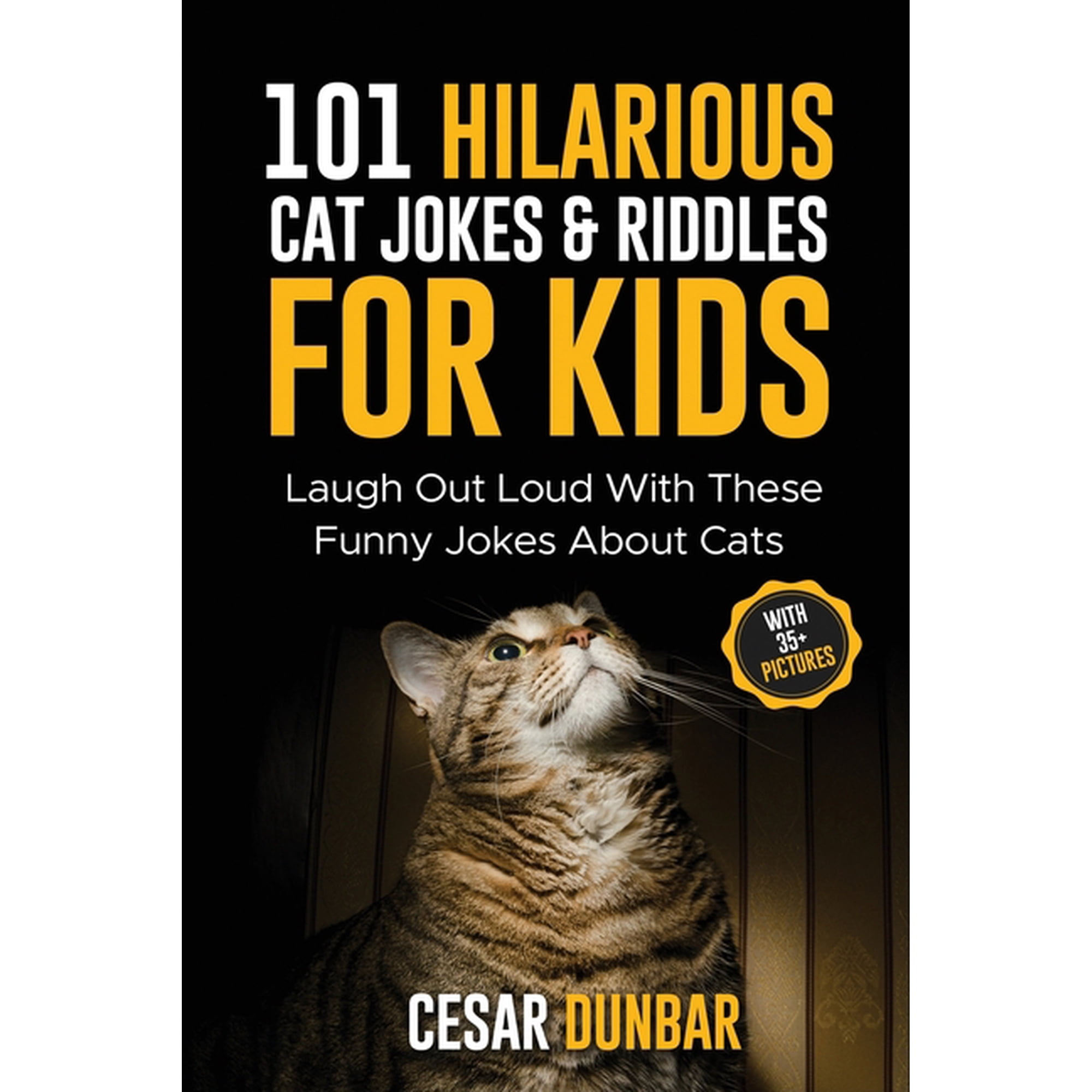 101 Hilarious Cat Jokes & Riddles For Kids: Laugh Out Loud With These Funny Jokes About Cats (WITH 35+ PICTURES)!, (Paperback)
