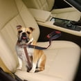 thumbnail image 4 of Cinturón de seguridad para perros, juego de 2 cinturones de seguridad ajustables para mascotas, arnés de seguridad para perros, correa de viaje para gatos para vehículos, longitud, 4 of 5