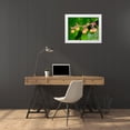 thumbnail image 3 of Wild, Jamie and Judy 14x12 White Modern Wood Framed Museum Art Print Titled - Salal berries, 3 of 4