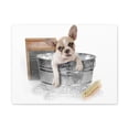 thumbnail image 2 of Cute French Bulldog Bath Canvas Wall  Art for Home Decor Ready-to-Hang, 2 of 18