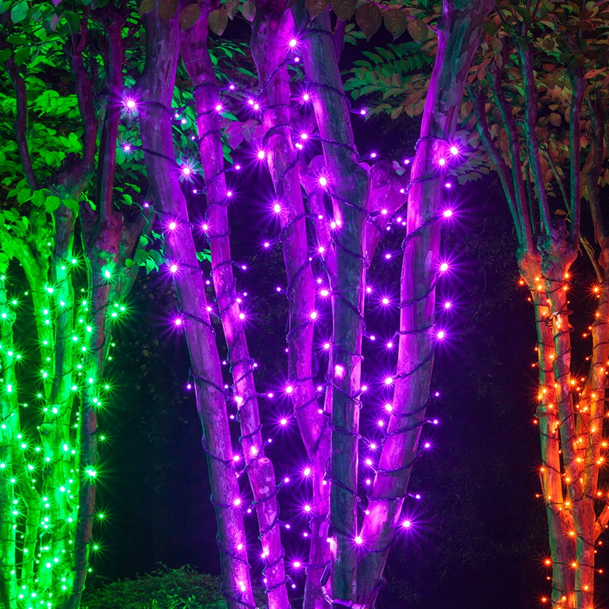 Set of 70 Purple LED Mini Halloween Lights 4" Spacing, 24', Black Wire Home Party Decoration Indoor Outdoor String Lights Set