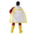 thumbnail image 4 of Figura de acción MEGO CORPORATION DC Shazam 20 cm con 14 puntos, 4 of 9