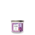 thumbnail image 2 of Yankee Candle Small Tumbler Scented Single Wick Jar Candle, Wild Orchid, 4.3 oz (Pack of 2), 2 of 8