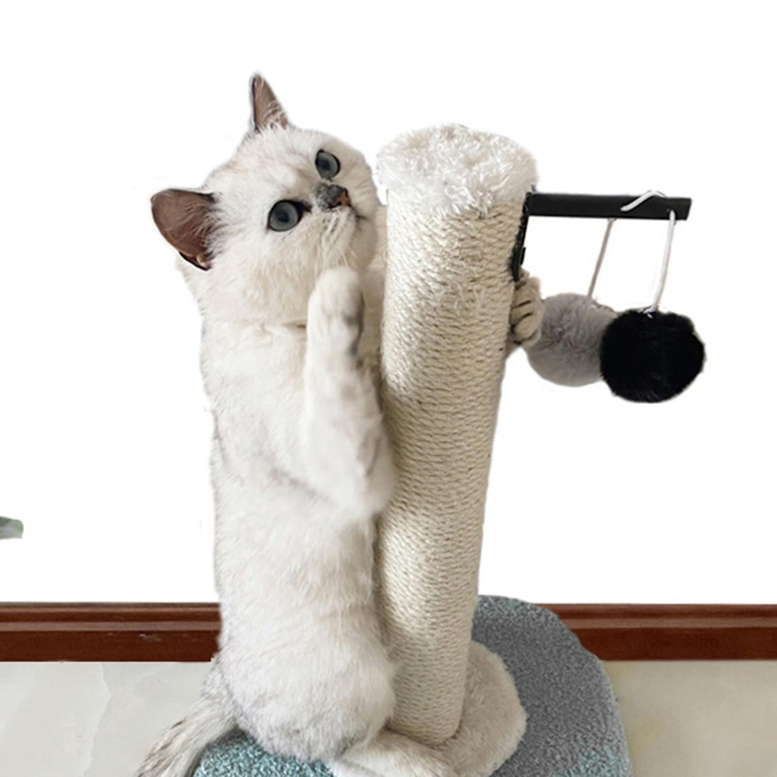 EHJRE Funny Cat post for scratching Scratcher W/ Balls ,Activity Centre Kitten Interactive Toy ,Sisal Cats Climbing for Grind Claw Training , Gray
