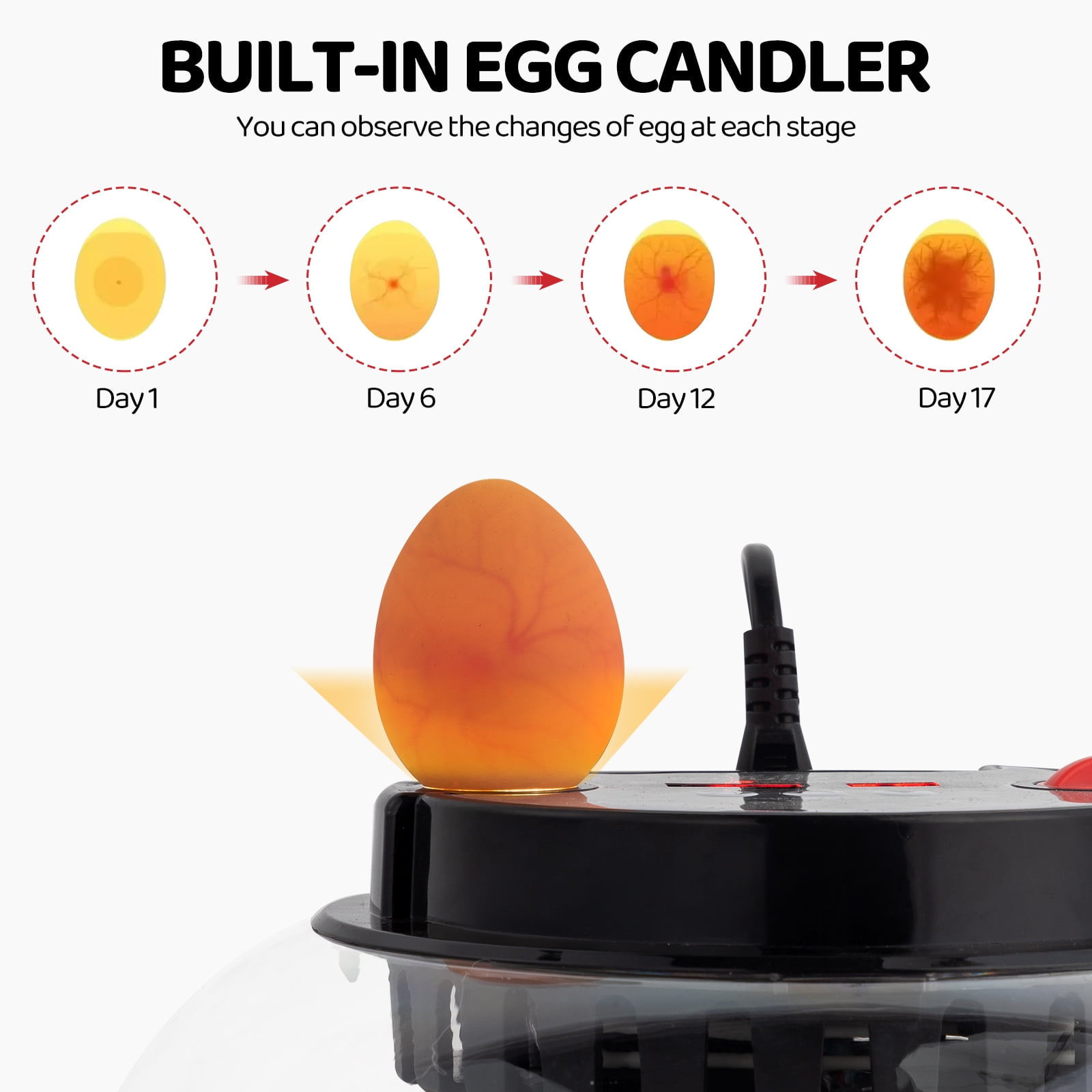 12 Eggs Incubator with Automatic Egg Turning, Temperature and Humidity Control,Auto Water Addition, LED Egg Candler, for Hatching Chickens, Ducks, Geese, Birds, Pigeons and Quail Eggs