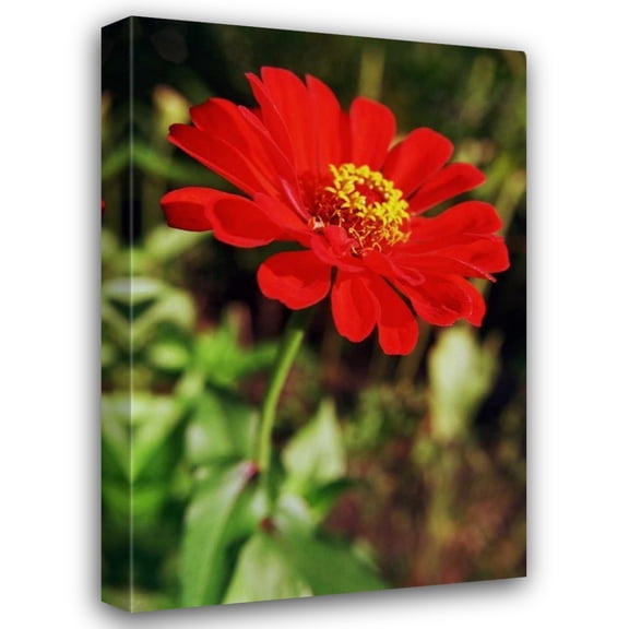 Bob Stefko 31x44 Gallery Wrapped Canvas Wall Art Titled - Red and Green I