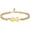 Gold-2, variant on Pet Urn Bracelet for Dogs Ashes Cremation Bracelet - Adjustable Paw Print Cremation Bracelet for Dog/Cat Ashes - Braided Rope / Stainless Steel Memorial Urn Bangle Jewelry