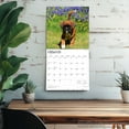 thumbnail image 5 of Boxer Puppies | 2026 12x24" (Hanging) Wall Calendar | Plastic-Free | BrownTrout, 5 of 9