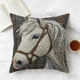 thumbnail image 6 of Dtchengua Embroidered Horse Pillow Cover - Luxurious Short Plush Throw Pillow Case, 18x18 Inch Decorative Accent for Sofa, Bed, or Chair, Cute Home Decor(2Pcs), 6 of 6