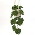 thumbnail image 1 of DIY Wool Knitted Lace Hanging Crochet Kit with English Instructions for Beginners Arts & Crafts Handmade Home, 1 of 3