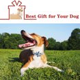 thumbnail image 4 of Collar de perro de Navidad con pajarita Collar de perro Collar de gato, 4 of 5