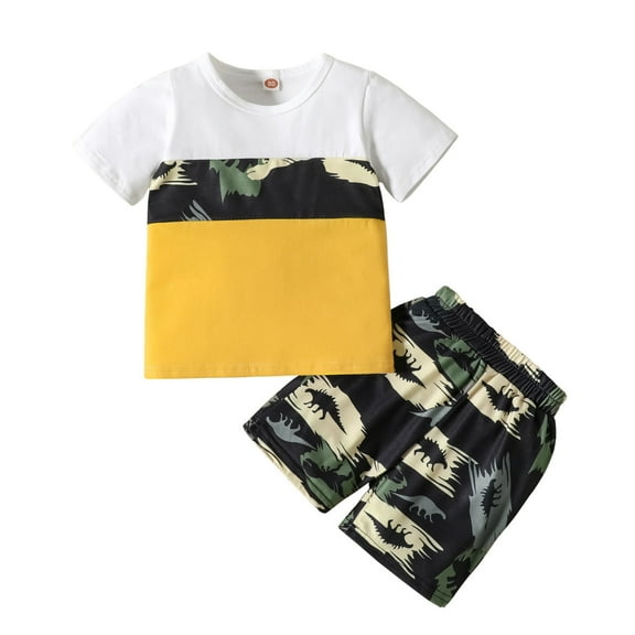 Toddler Baby Boys Clothes Summer Outfits Color Block T Shirt Tops Dinosaur Cartoon Animal Shorts Boy Clothing Set
