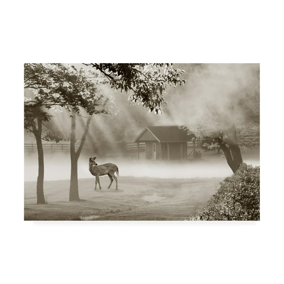 Trademark Fine Art 'Deer In Morning Mist' Canvas Art by Monte Nagler