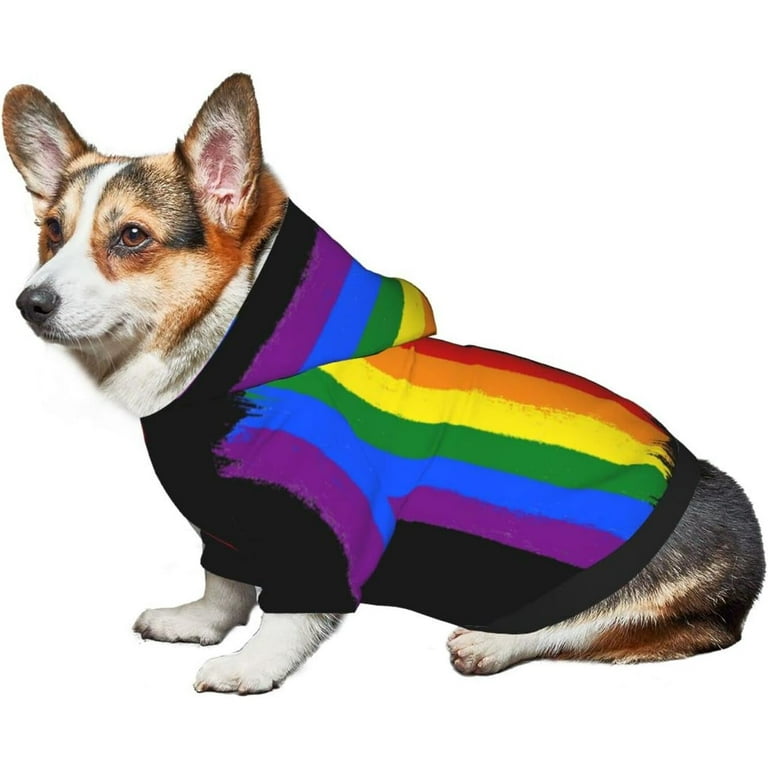 Gay dog sweater deals