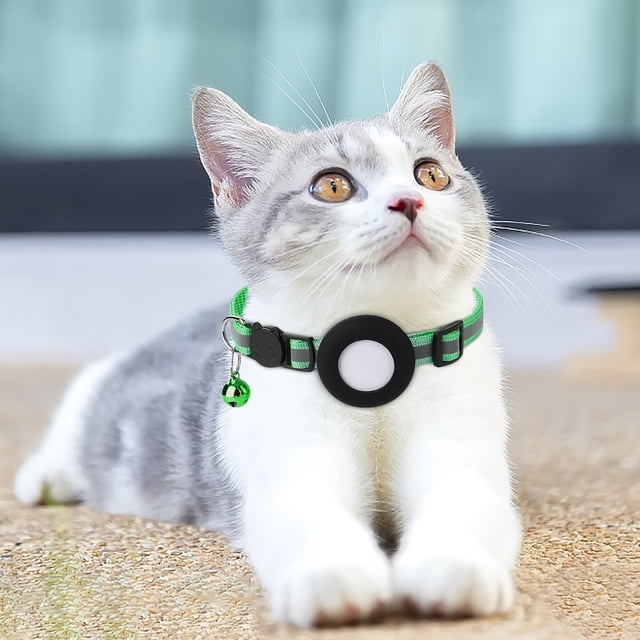 Reflective Dog Collar With Address Pendant And GPS Tracking Film