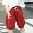 thumbnail image 5 of ZACPNCV Little Boys Elastic Waist Pull On Cotton Shorts for Kids Boys Short Pants Summer Clothes Red 2-3 Years, 5 of 6