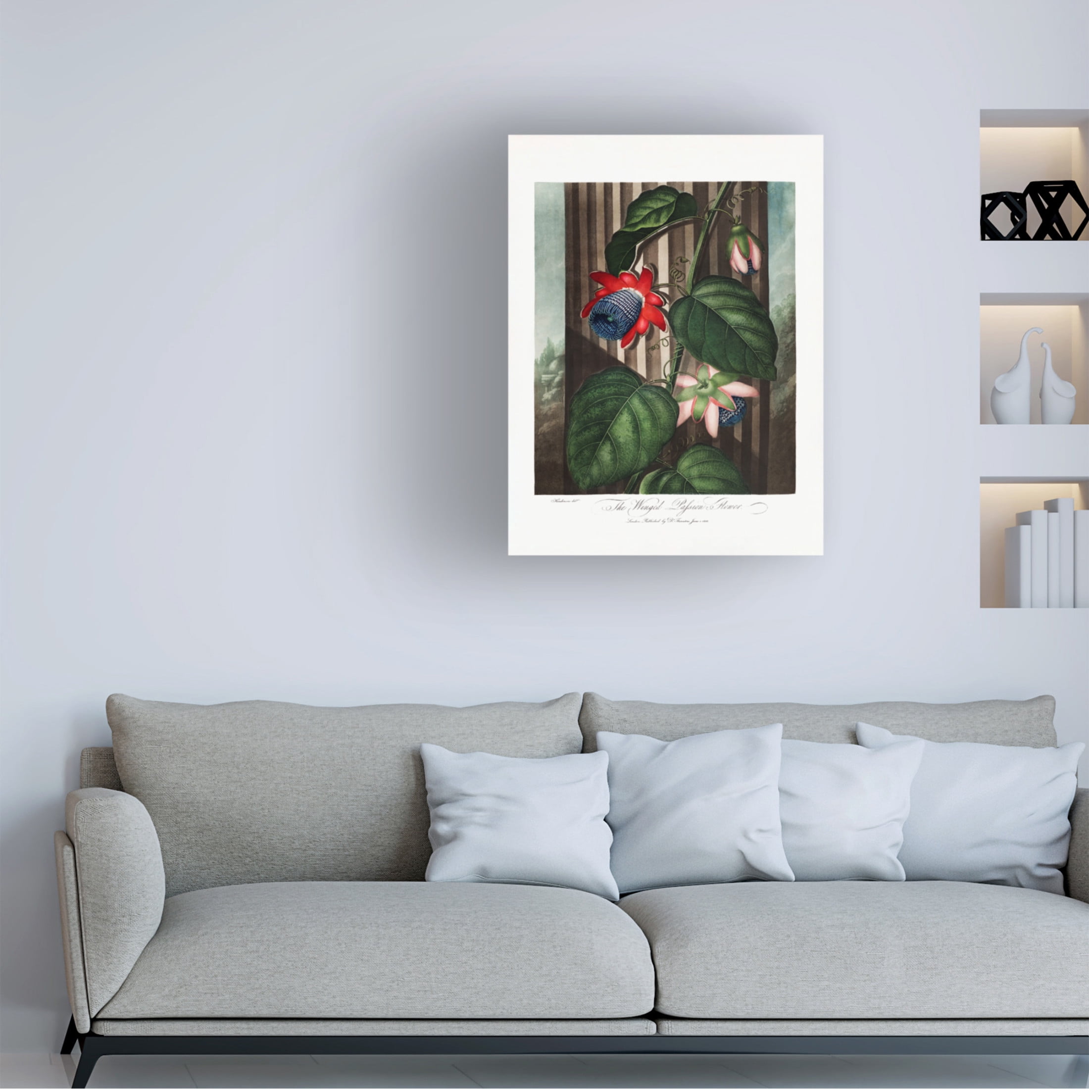 Trademark Fine Art Pictufy  The Winged Passion Flower from The Temple of Flora 1807 Canvas Wall Art