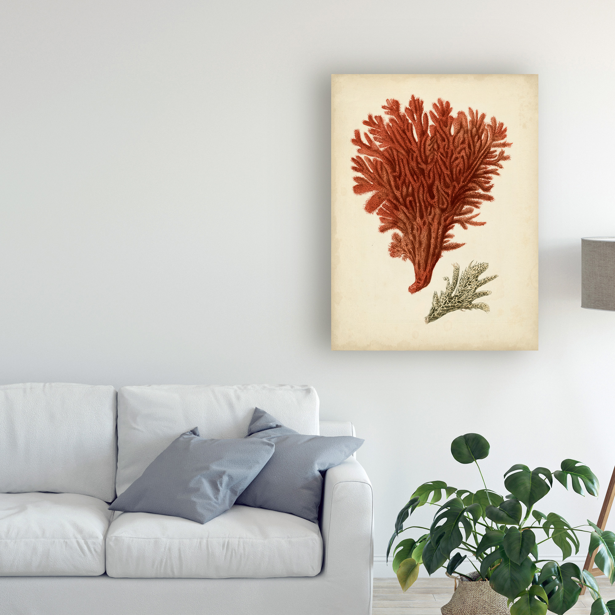 Trademark Fine Art 'Antique Red Coral V' Canvas Art by Vision Studio